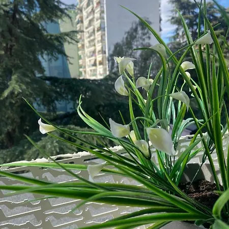 Jonexh Apartment Tirana