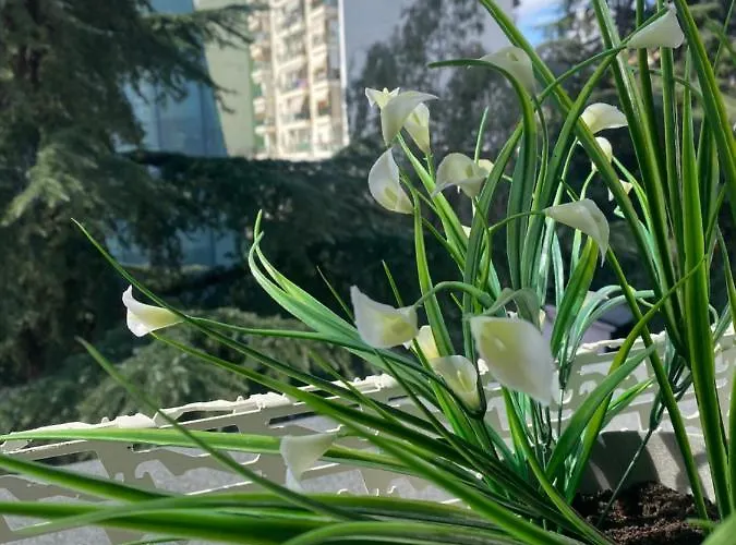 Jonexh 公寓 地拉那